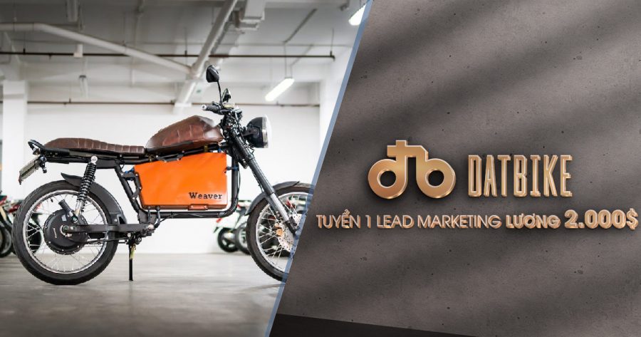 Tuyển 1 Lead Digital Marketing lương 2,000$/1 tháng